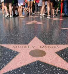 Sejour linguistique los angeles (7).